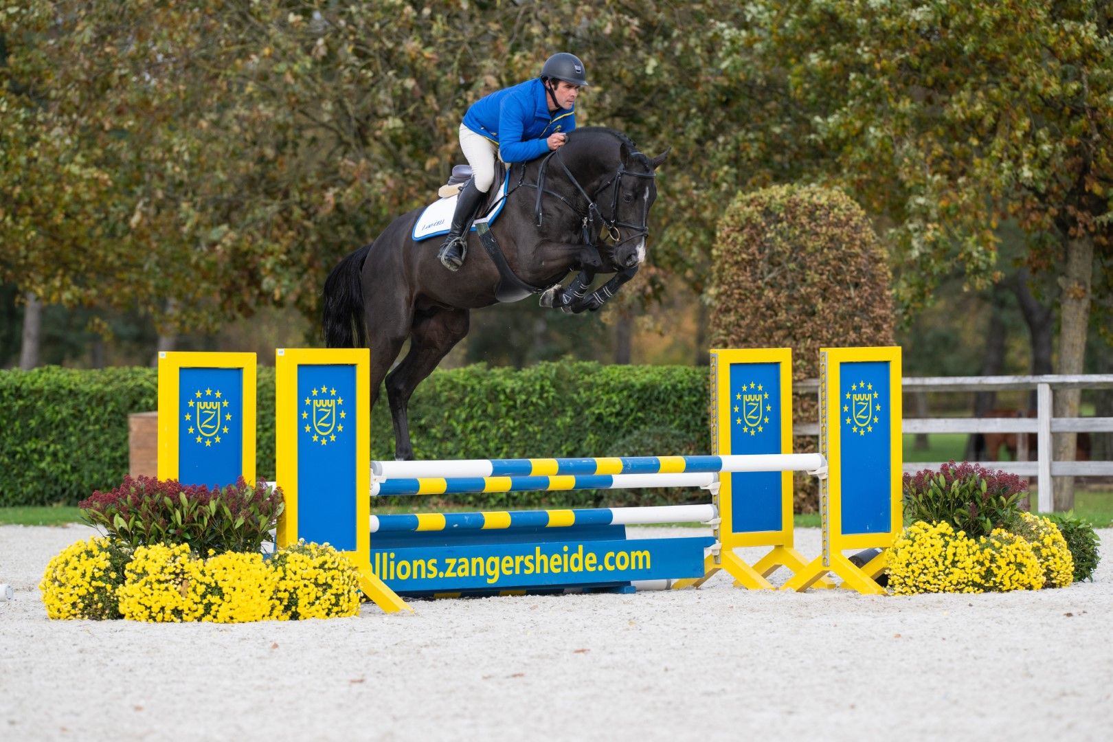 コレクション STALLIONS 2000 DEVIL 2000 Z - Performance breeding through and through